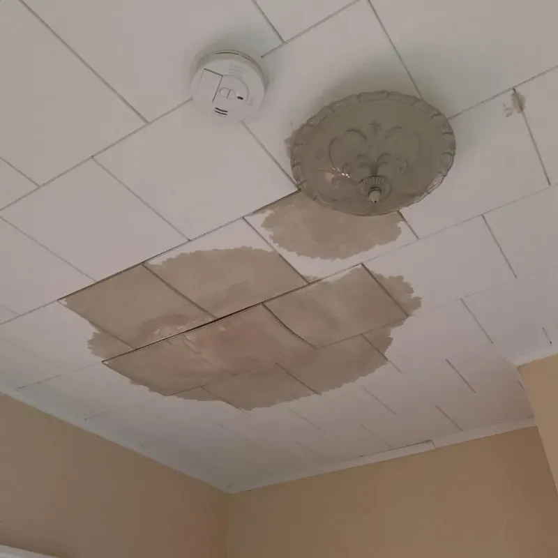 Ceiling Water Damage Repair in Unionville, NC